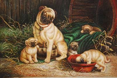 unknow artist Dogs 028 Germany oil painting art